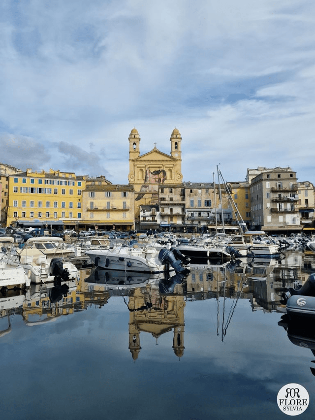 CARRÉ BASTIA VERT 90